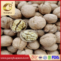 Factory Sale Walnut in Shell 185 /Paper Shell Pure 32mm up New Crop